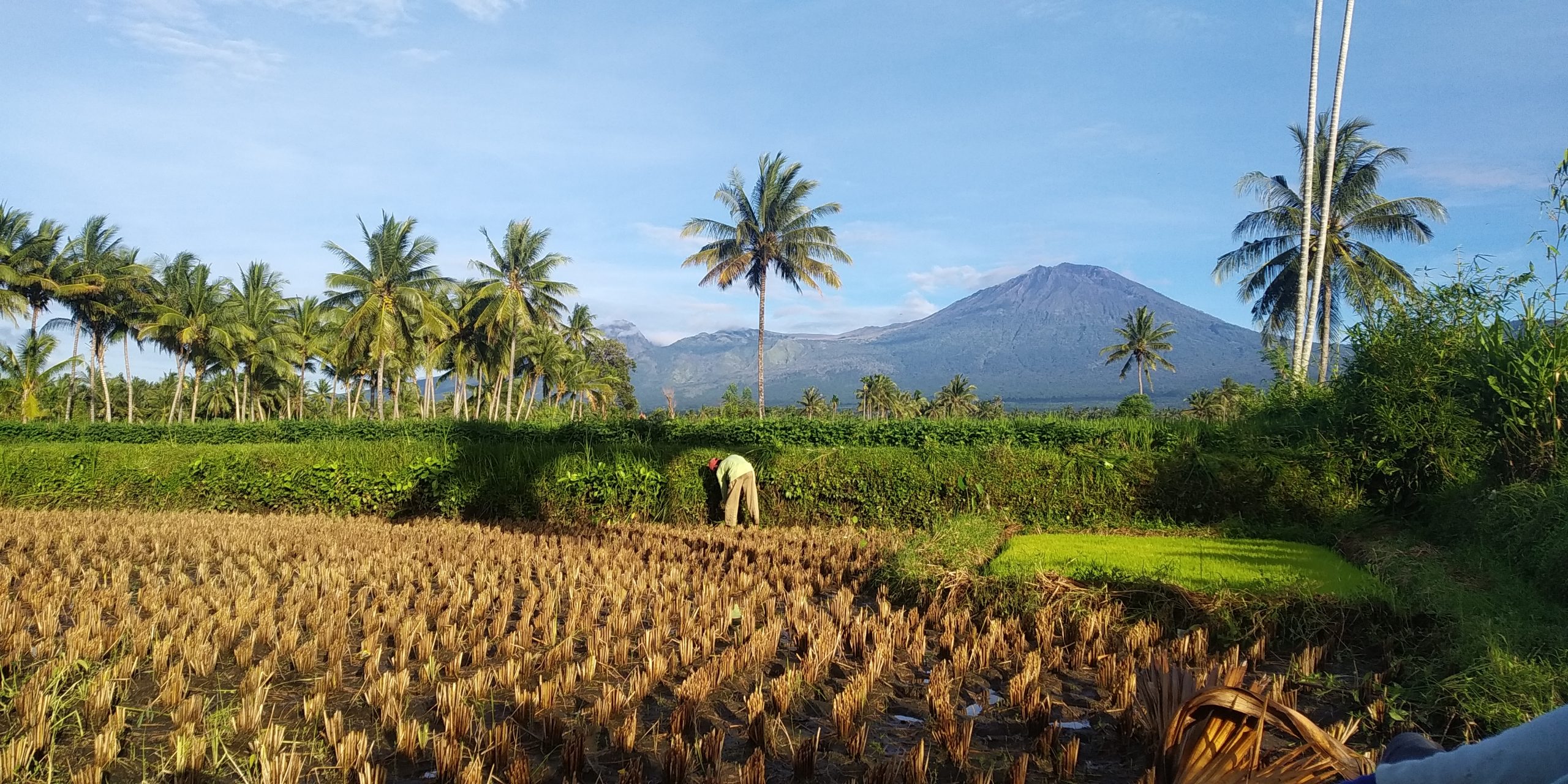 RAPUHNYA TULANG PUNGGUNG KELUARGAKU